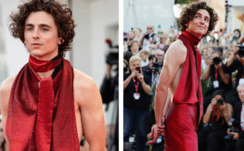 Timothée Chalamet net worth