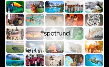 spotfund